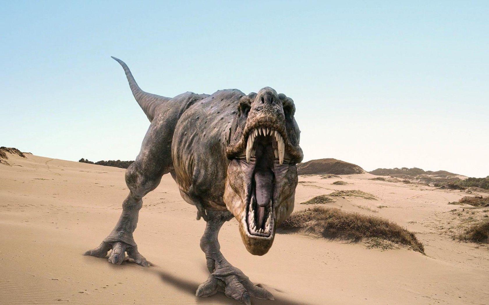 Tyrannosaurus Rex Toy Story 3 1600x1200 Wallpaper Art HD
