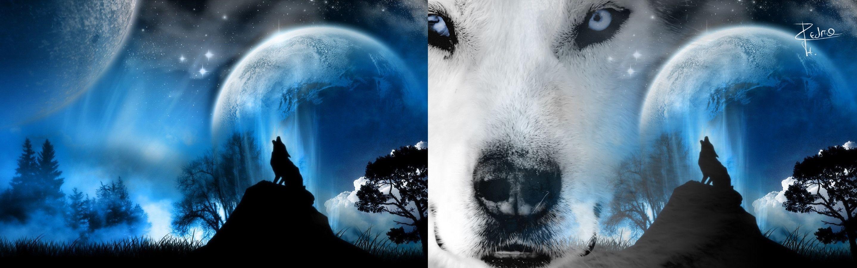 Lobo Wallpapers Wallpaper Cave | lobo wallpapers wallpaper cave Lobo Wallpapers Wallpaper Cave | lobo wallpapers wallpaper cave