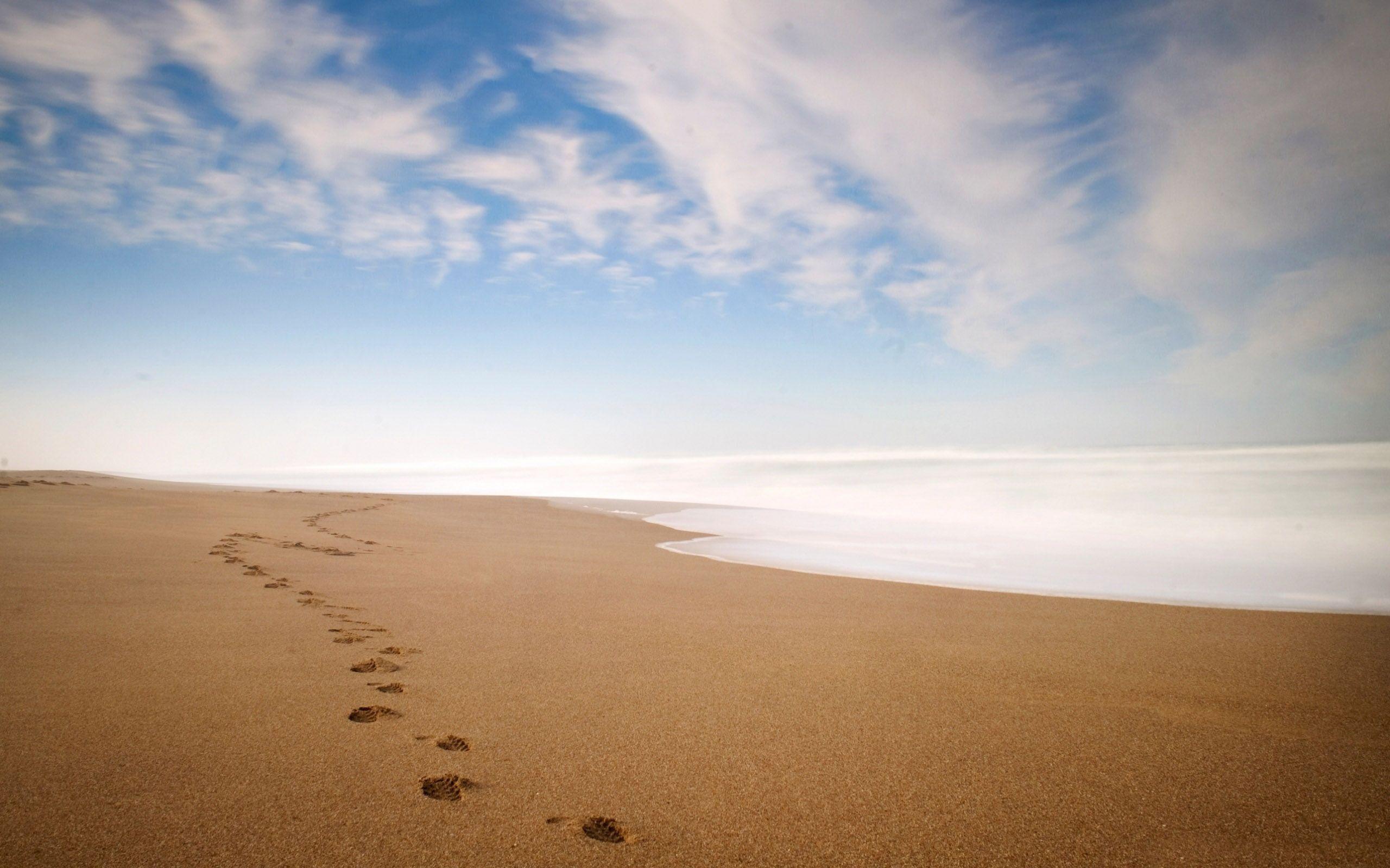 Footprints in the sand iPhone Panoramic Wallpaper. HD Wallpaper