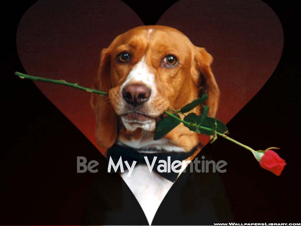 Funny Valentine Wallpaper 40454 HD Picture. Top Wallpaper Desktop