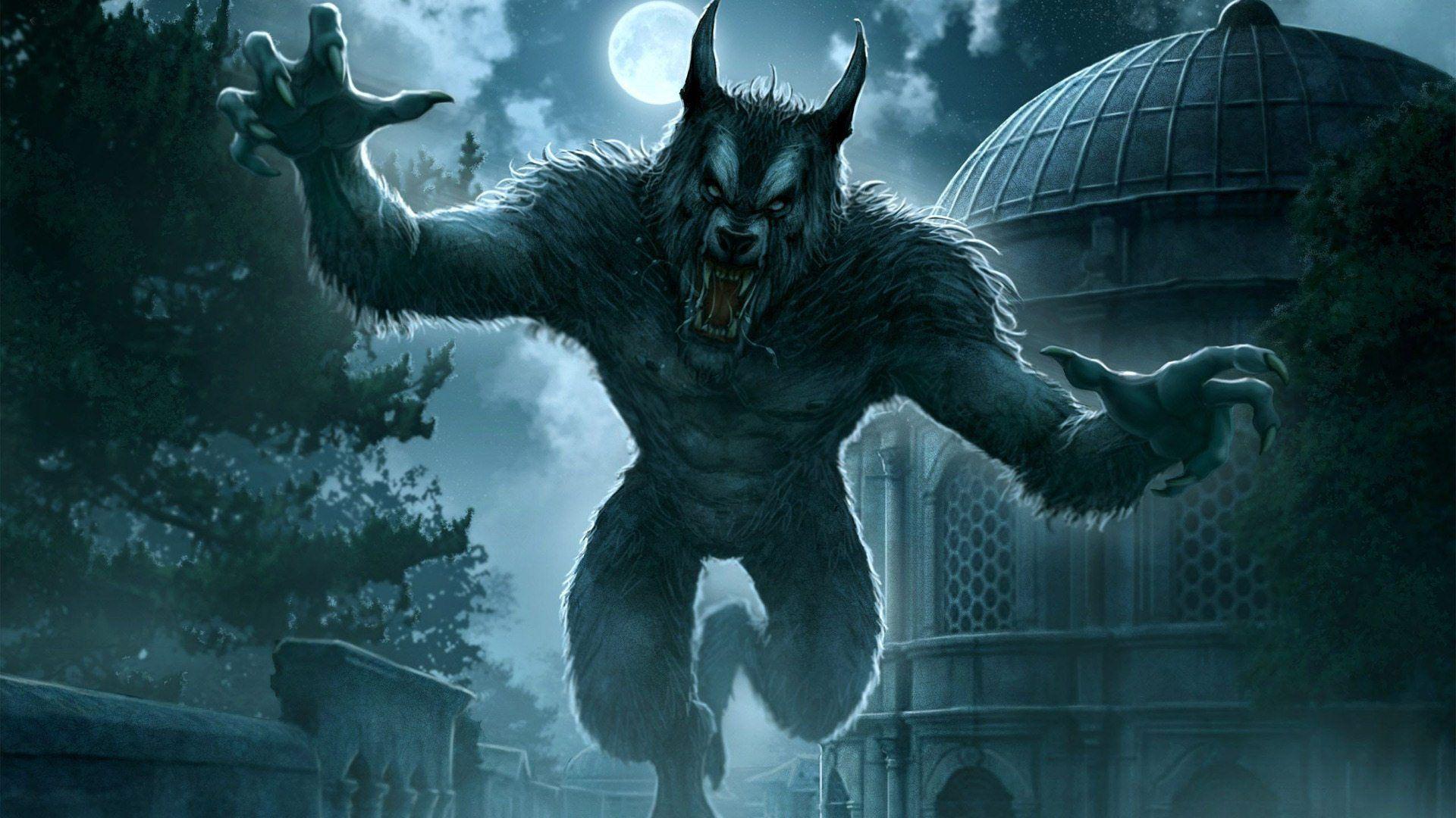 Werewolf Photo Free Wallpaper For Phone HD