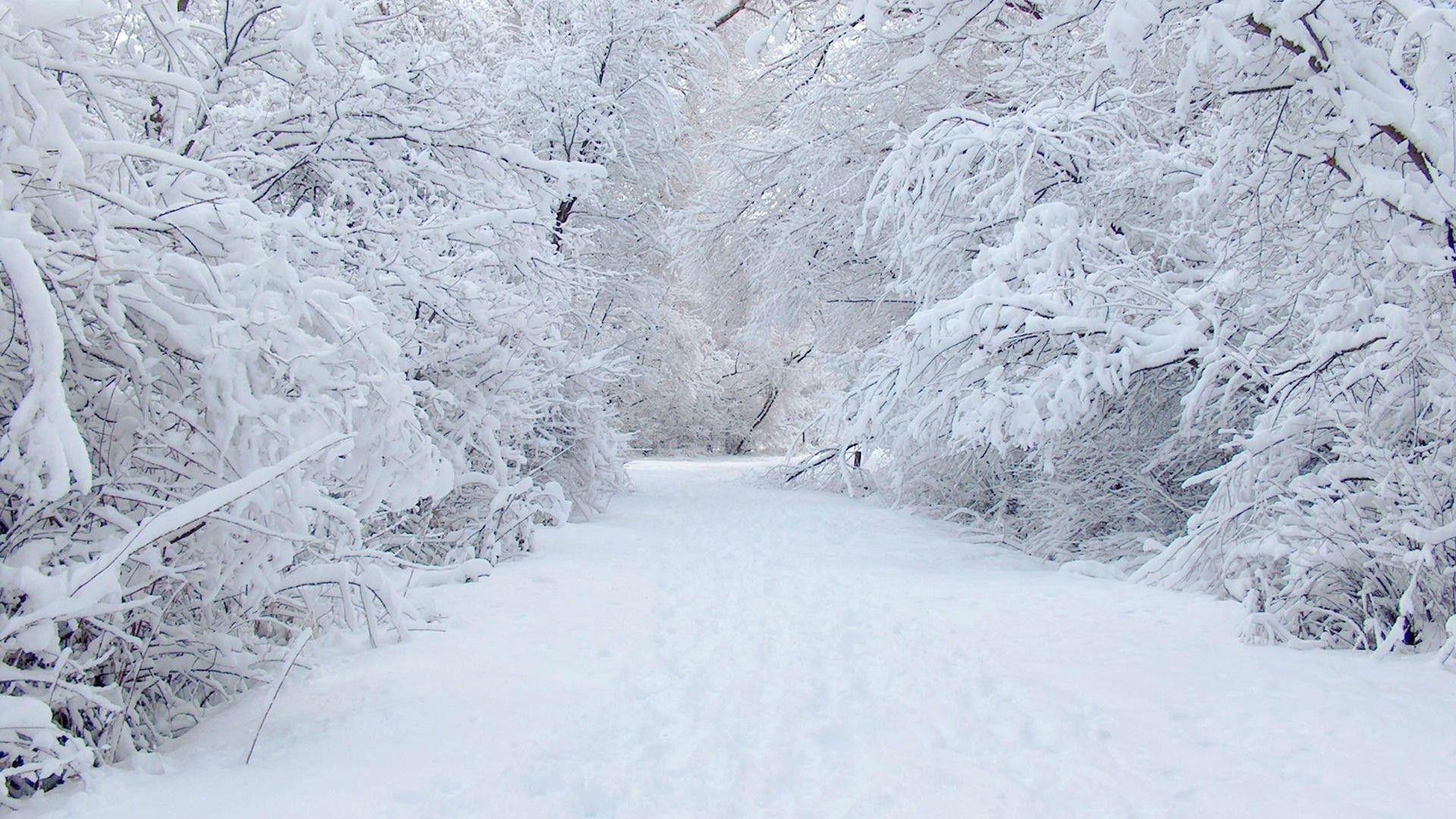 Winter Wonderland Desktop Backgrounds - Wallpaper Cave