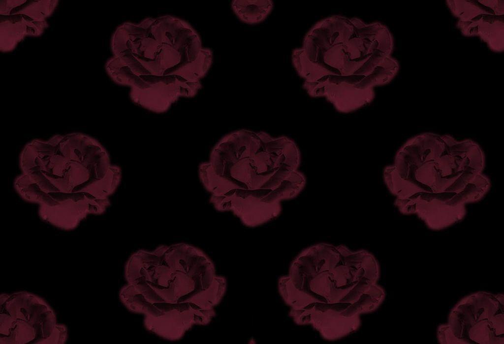 Black Rose Wallpaper and Picture Items