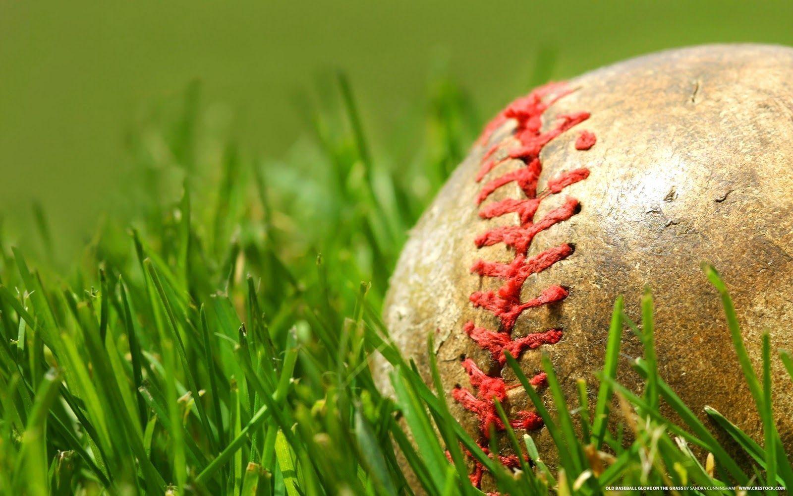 The Best Top Desktop Baseball Wallpaper 16 Ball In The Grass