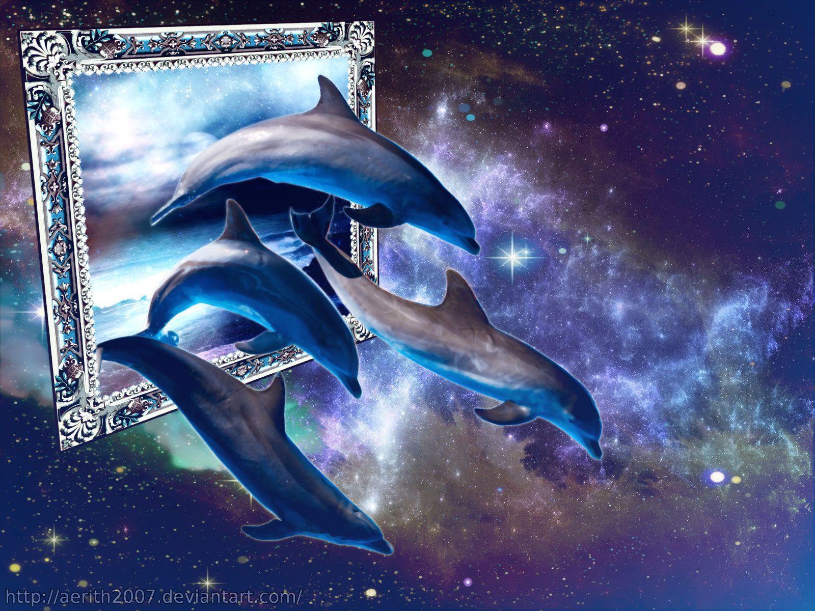 Wonderful Free Dolphin HD Wallpaper 1600x1200PX Dolphin