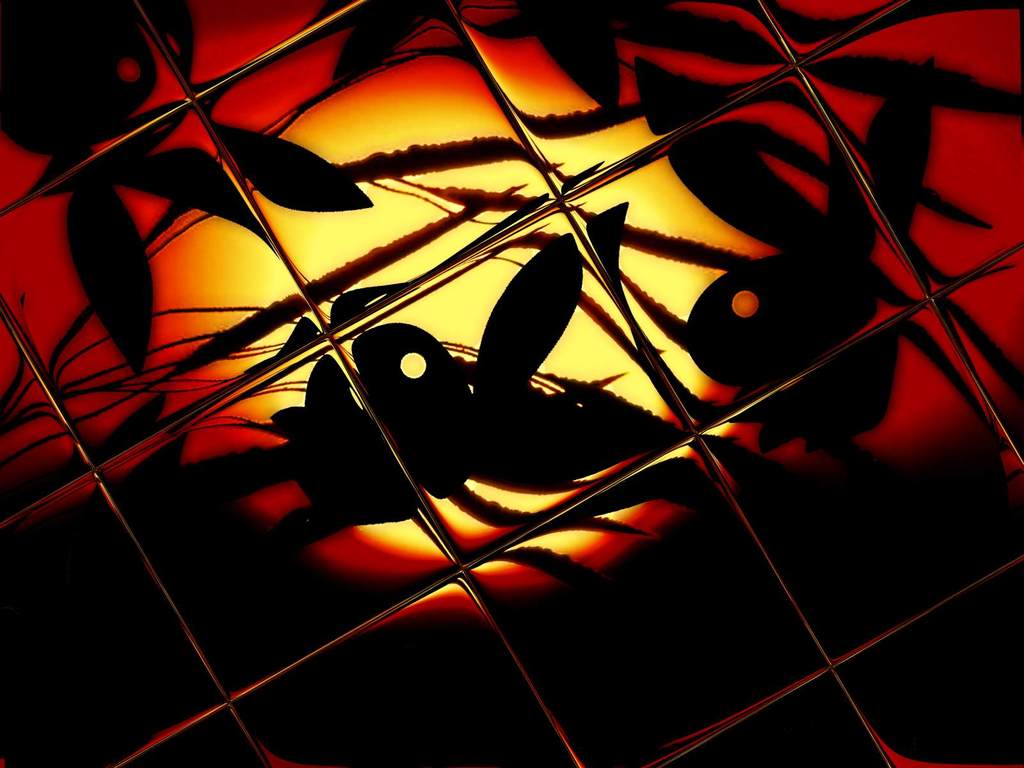 Free Play Boy Wallpapers Wallpaper Cave HD Wallpapers Download Free Map Images Wallpaper [wallpaper376.blogspot.com]