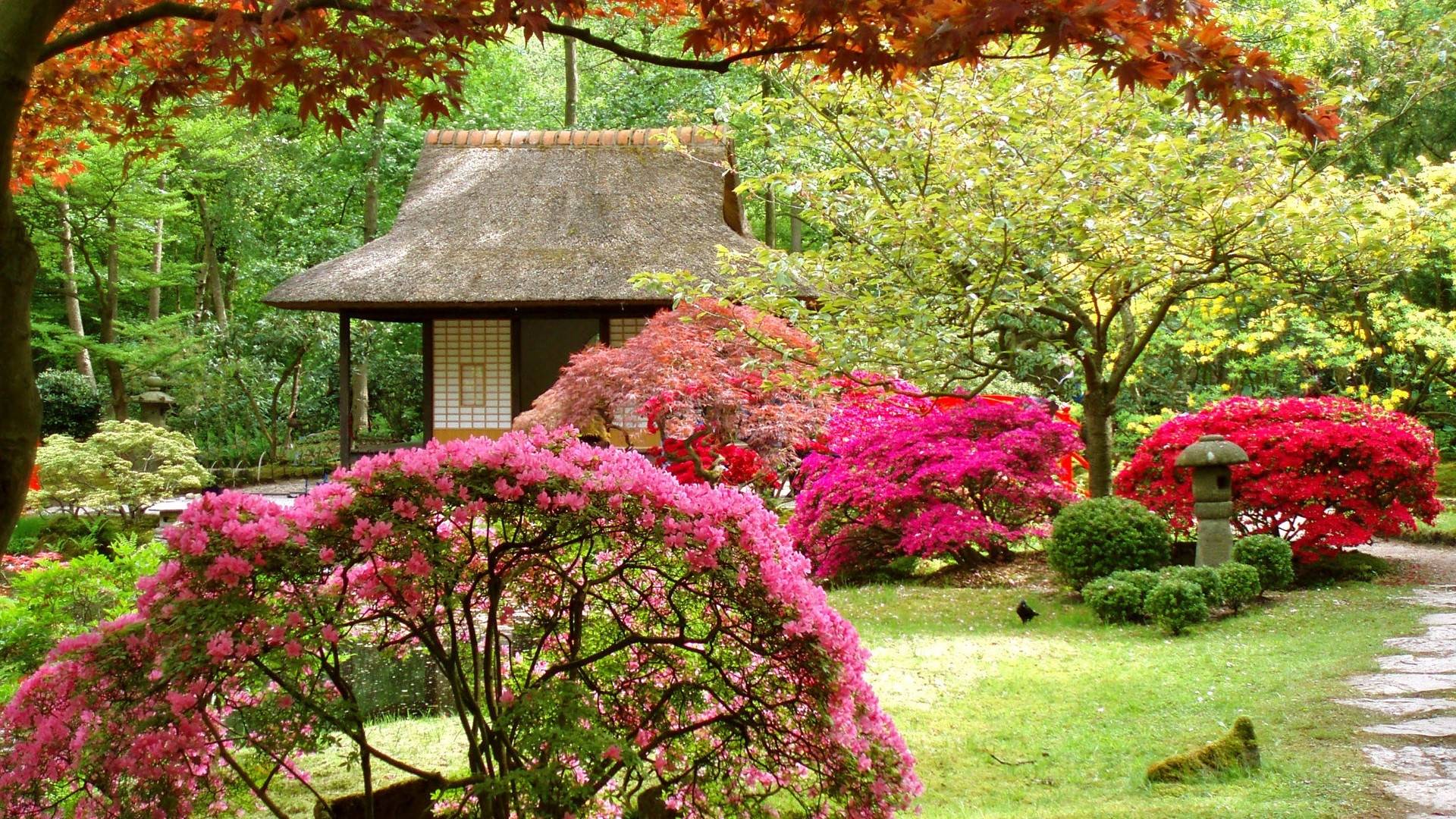 Spring Japanese Garden Wallpaper Amazing Design 414577 Inspiration