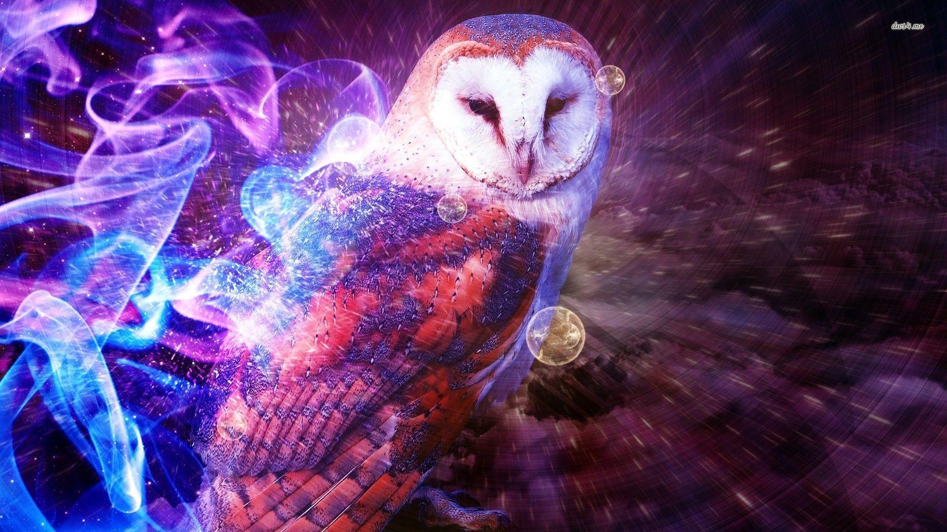 Owl Wallpaper 5498 Desktop Background. Areahd