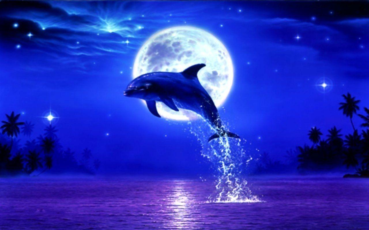 Download Dolphin Moon Night Stars Free Moonlight Leap Blue