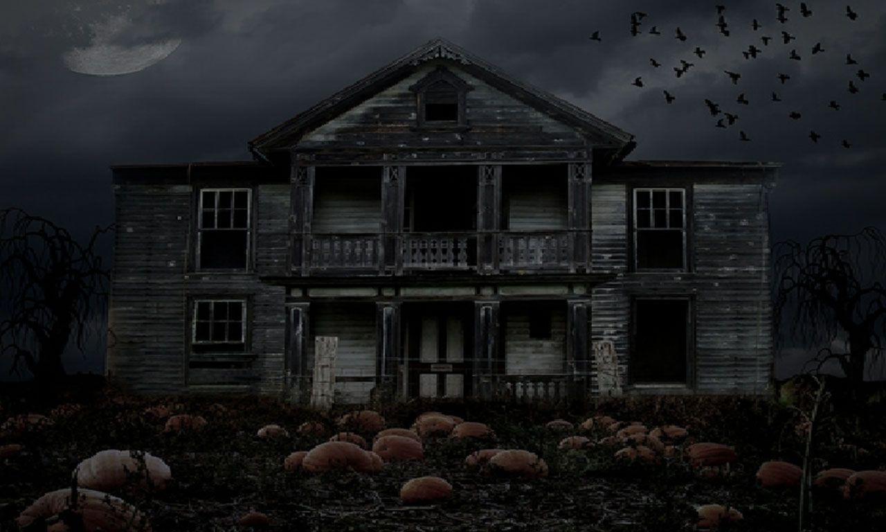 Haunted House Background x 768