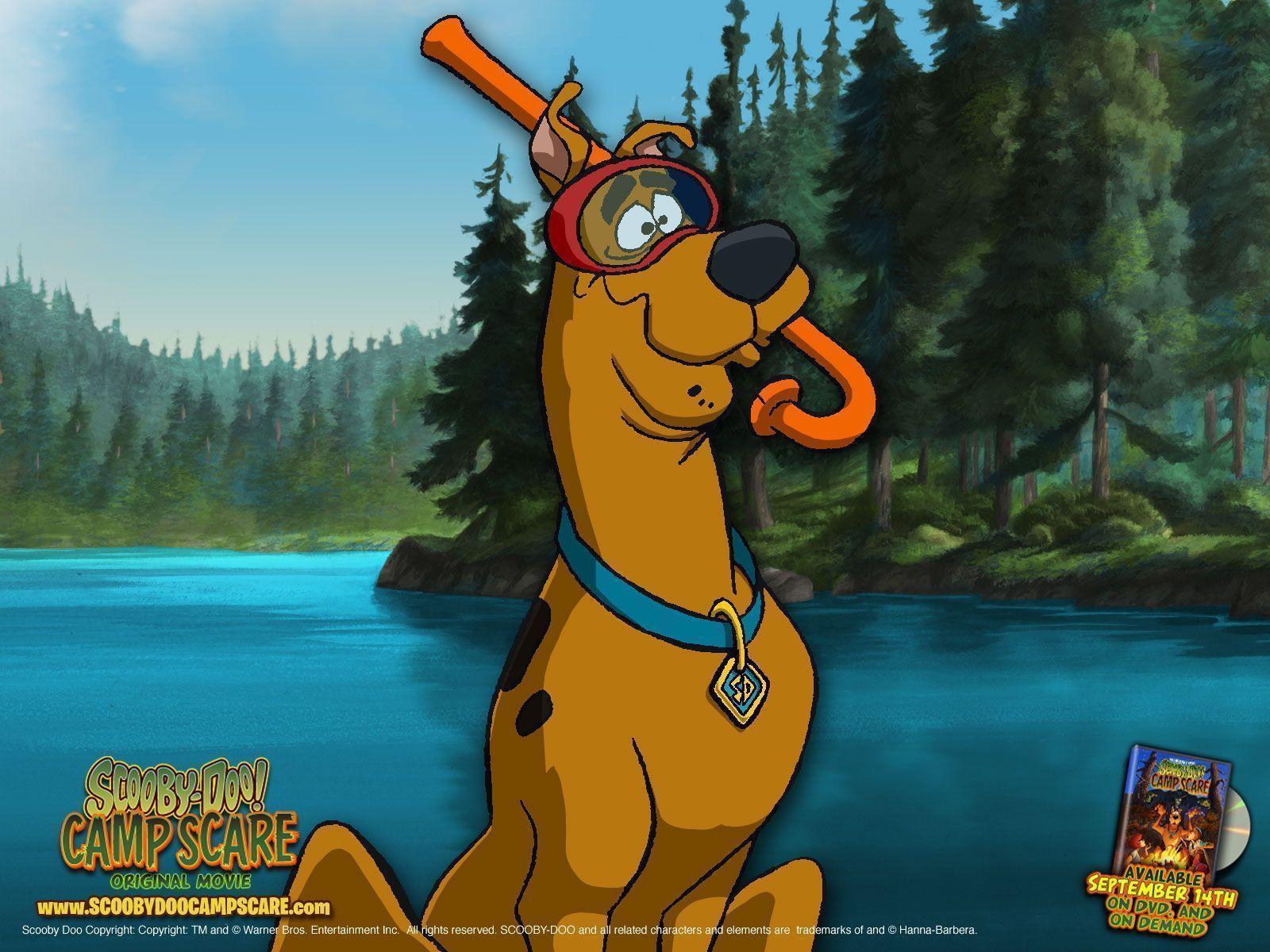 Scooby Doo Camp Scare Doo Wallpaper