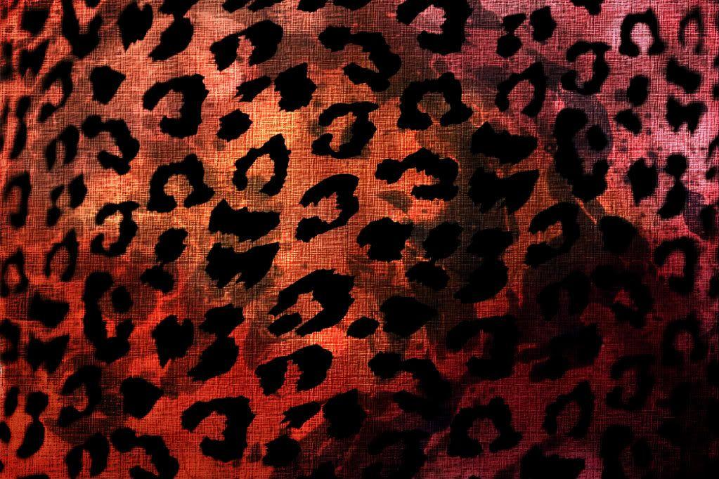 Cheetah Print Desktop Wallpaper. coolstyle wallpaper