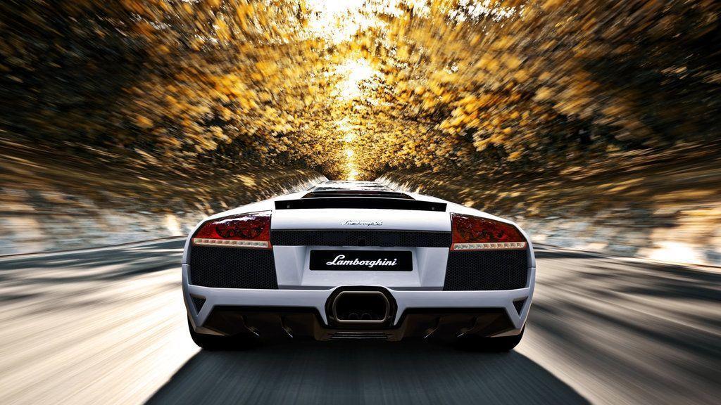 Lamborghini Murcielago in Autumn Wallpaper