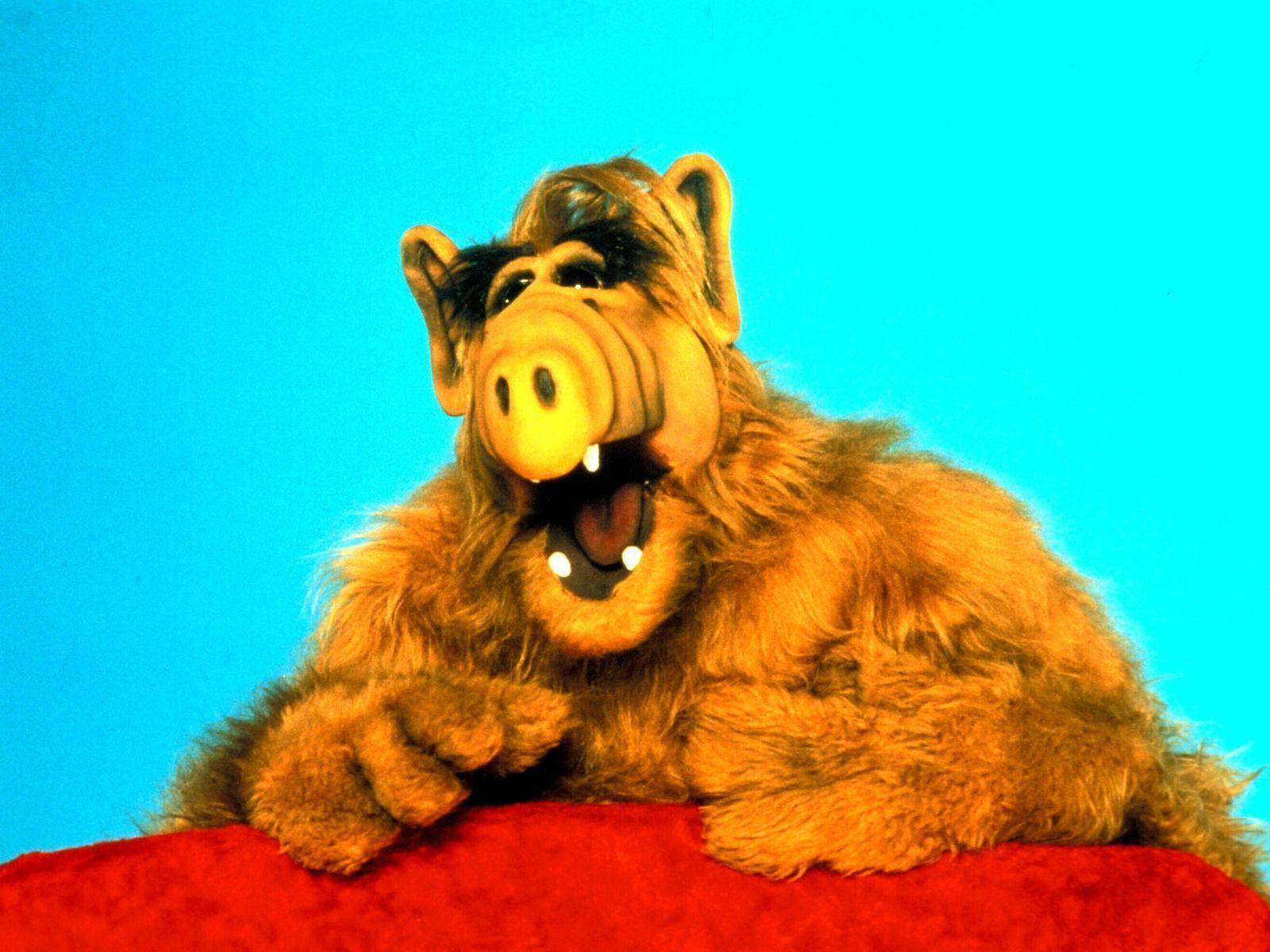 Alf wallpaper. Cartoons HD Wallpaper and background For Free
