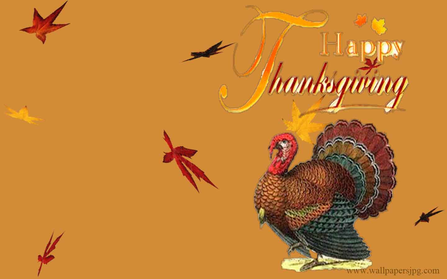 Free Wallpaper Thanksgiving Day Turkey Card Wallpaper 1440x900PX