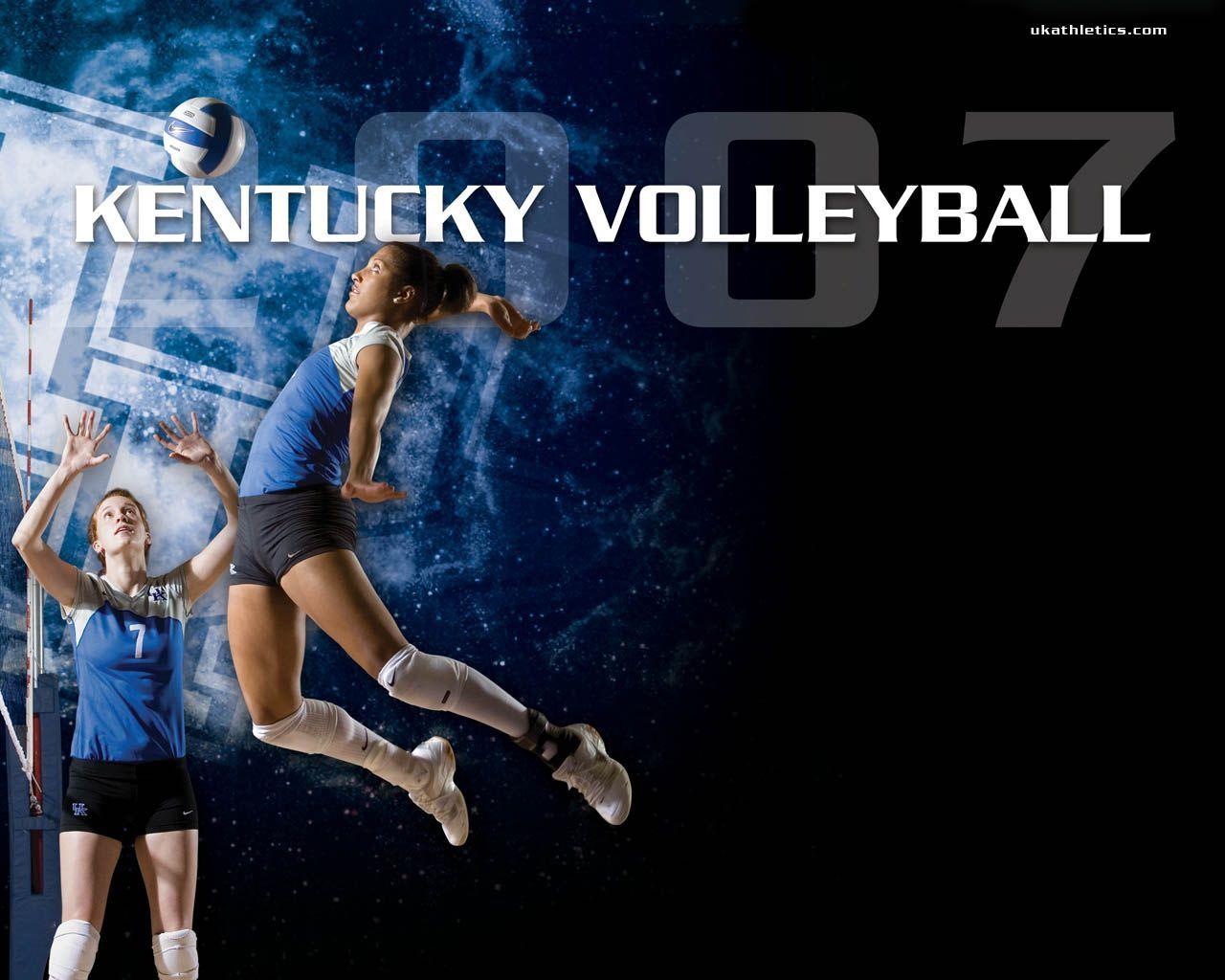 Volleyball Net Wallpaper