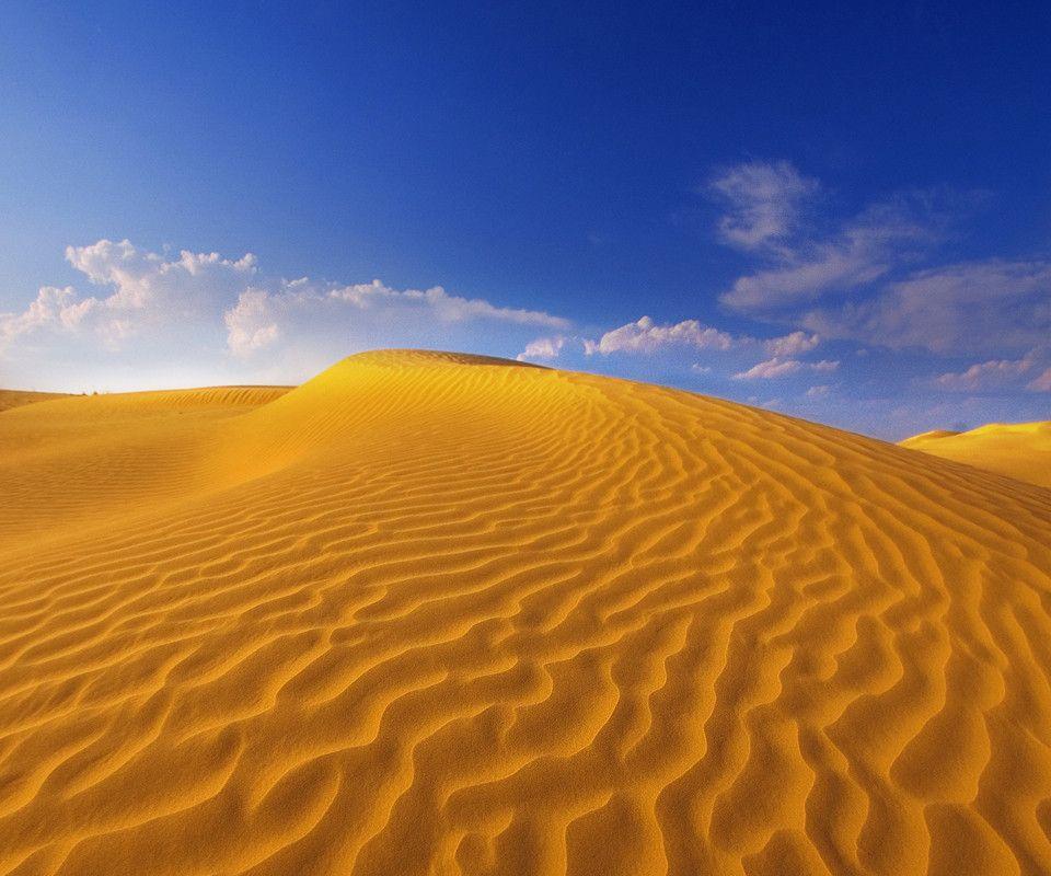 Download best Desert Hot Wallpaper & picture for Widescreen
