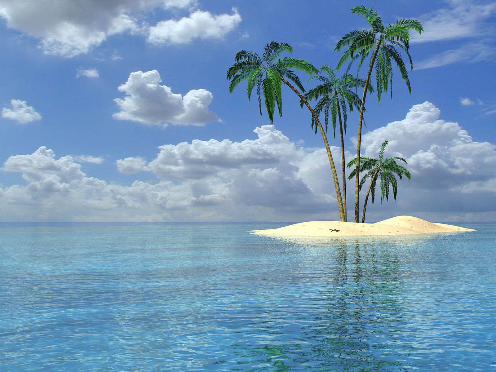 Palm Tree Desktop Wallpapers Wallpaper Cave