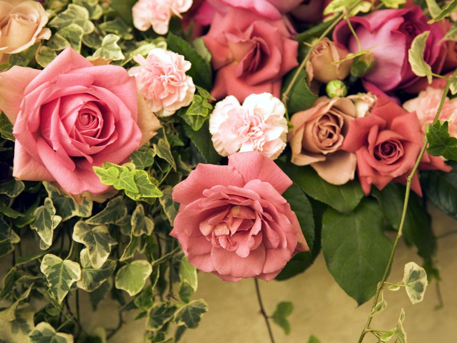 Desktop Wallpaper · Gallery · Nature · Combined Rose flowers