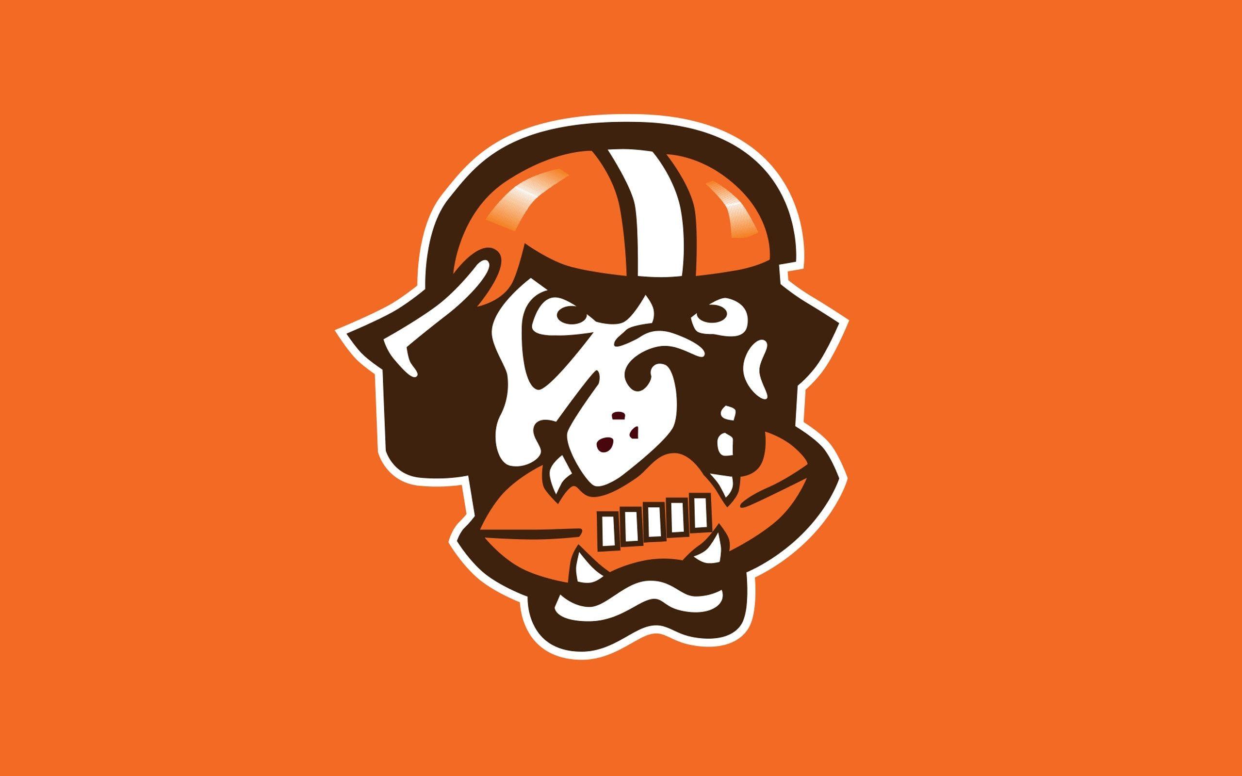 Cleveland Browns 2014 NFL Logo Wallpaper Wide or HD. Sports