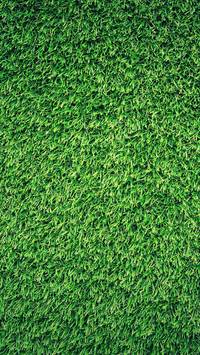 grass iPhone wallpaper