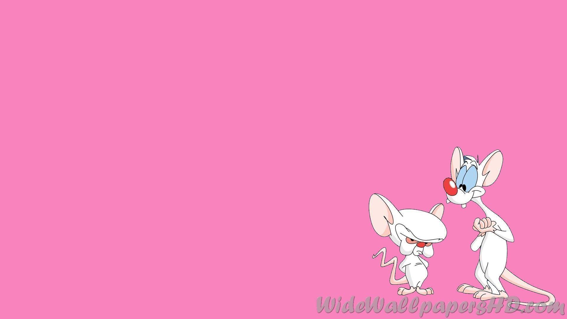Pinky And The Brain. Wide Wallpaper HD