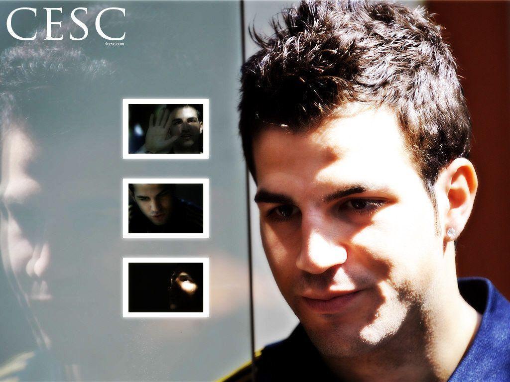 cesc Fabregas Wallpaper