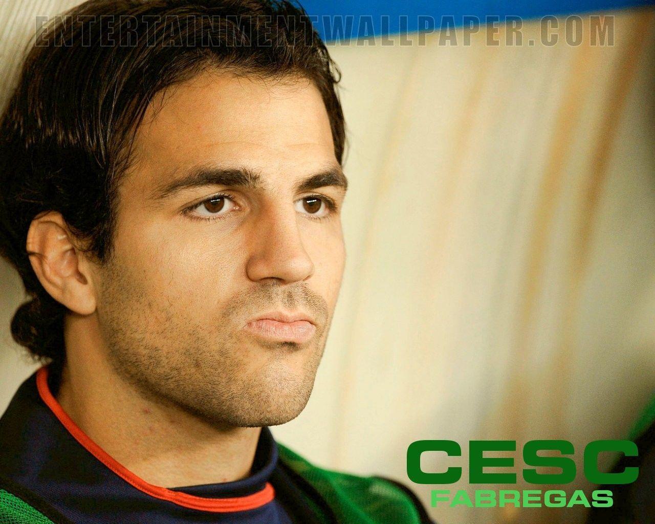 Cesc Fabregas Wallpaper HD