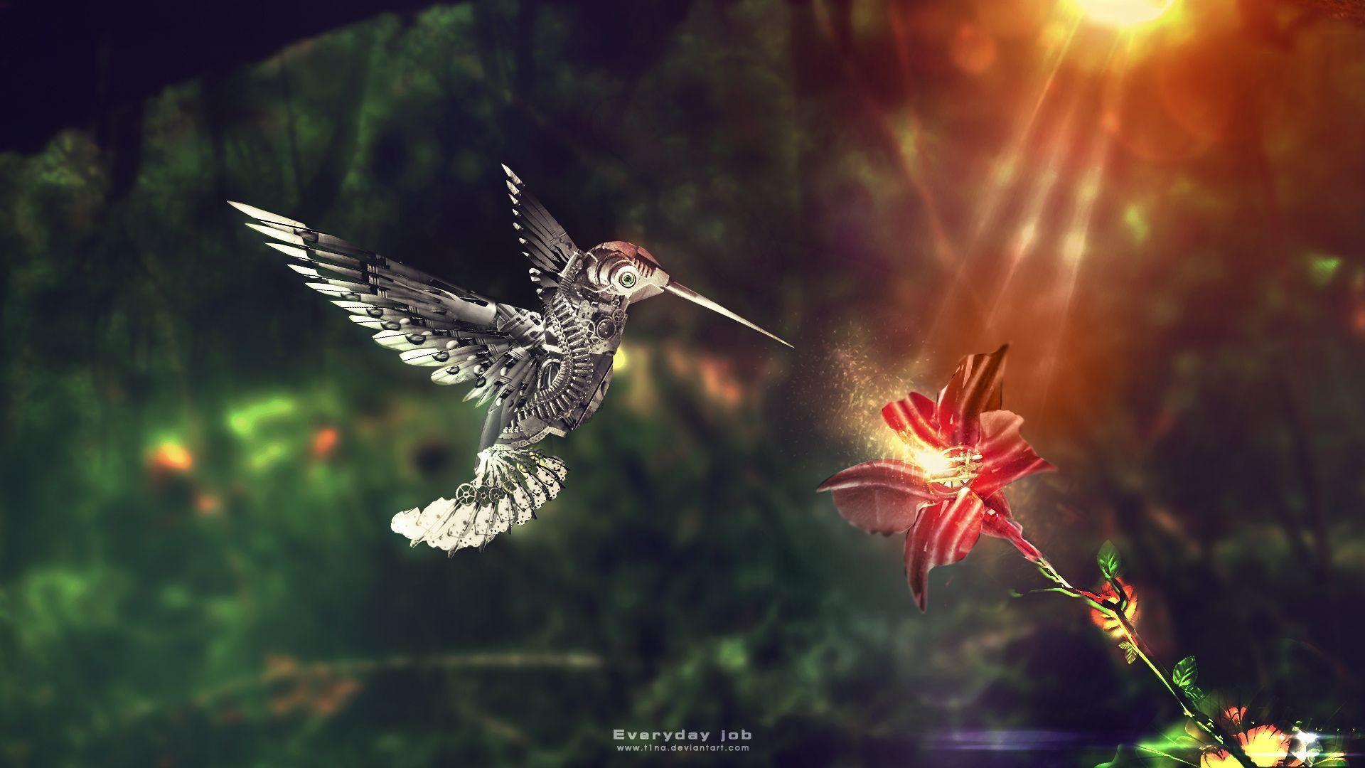 Wallpaper For > Moving Hummingbird Wallpaper