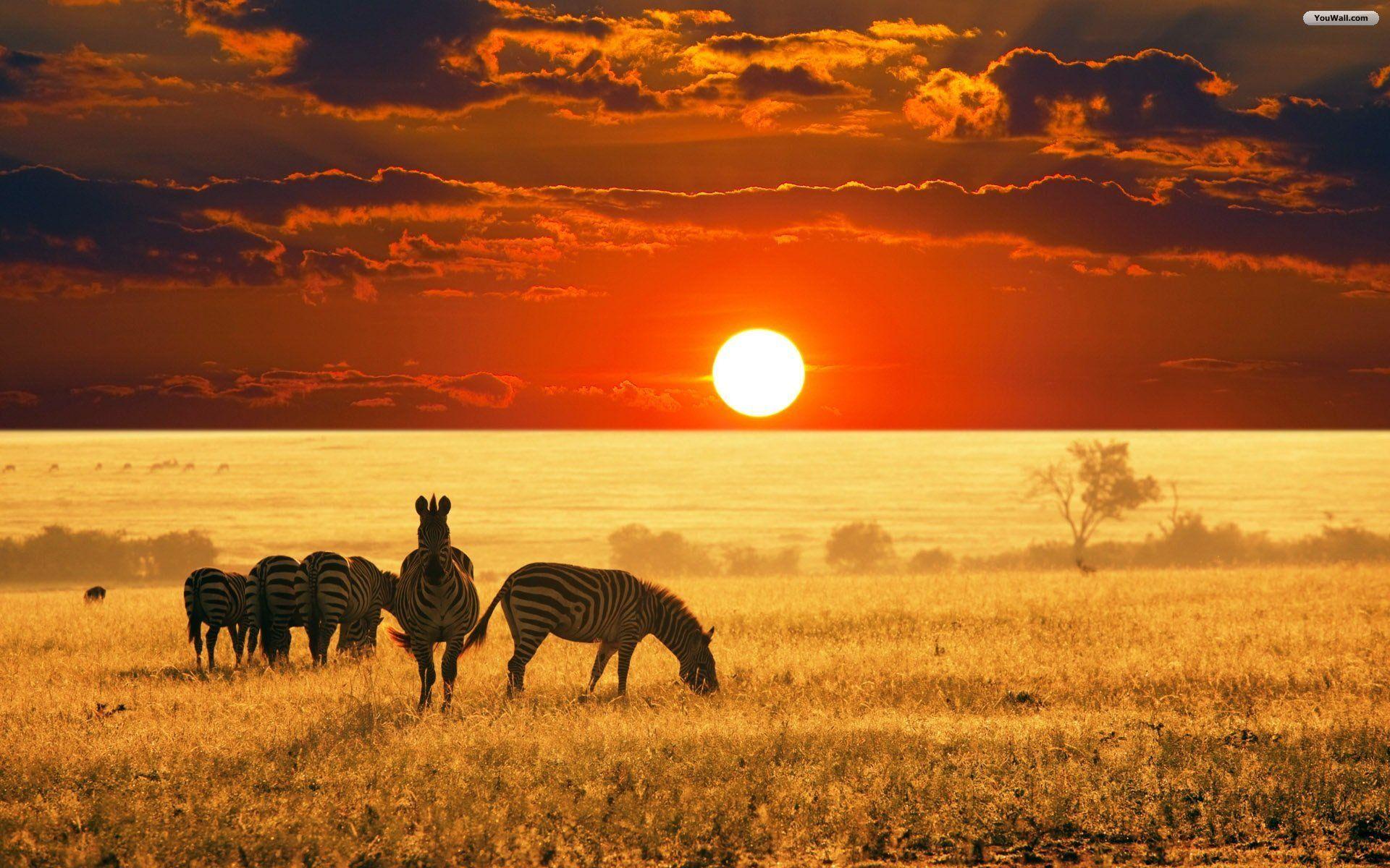 african wallpaper. Wallpaper HD 3D