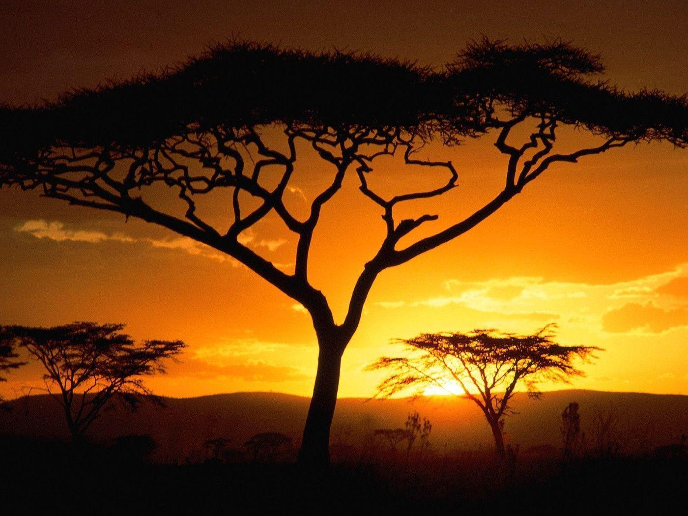 Tanzanian Sunset, Africa desktop wallpaper