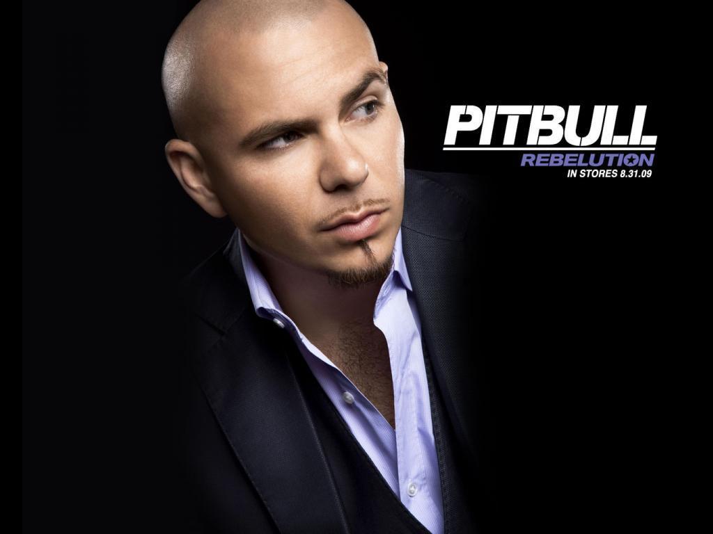 Pitbull_Nazanin (rapper) Wallpaper