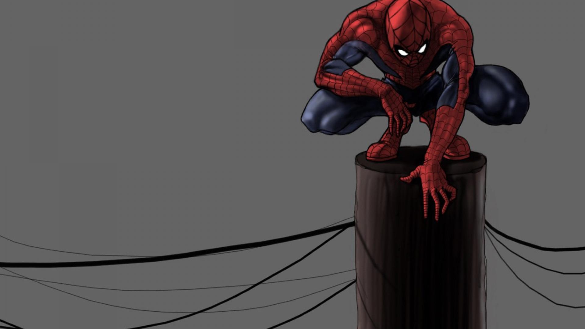 Spiderman Marvel Wallpaper HD