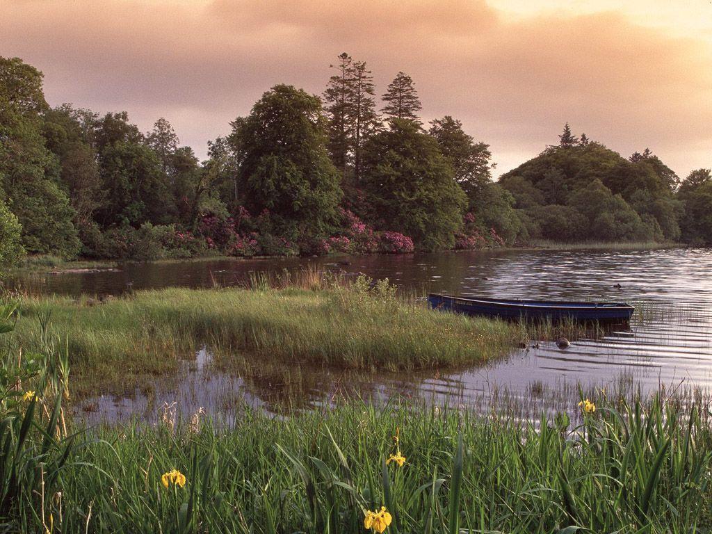 Landscape in Ireland Wallpaper Wallpaper 27899