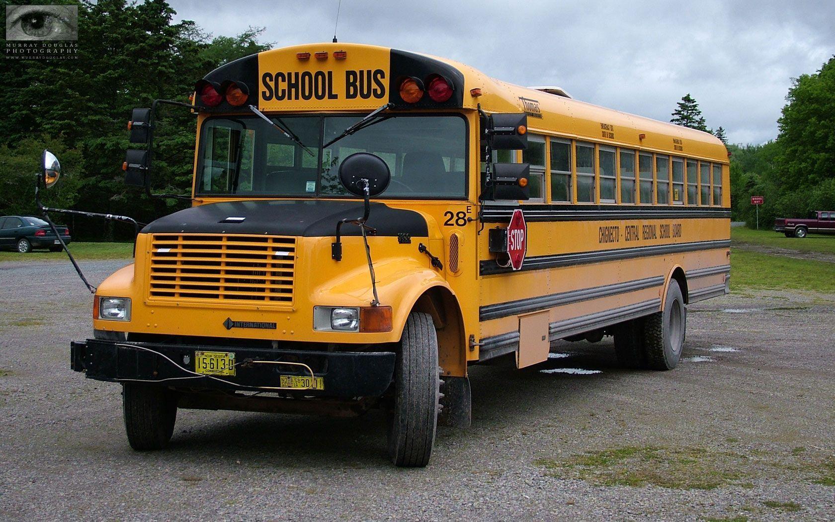 School Bus Wallpaper Image & Picture