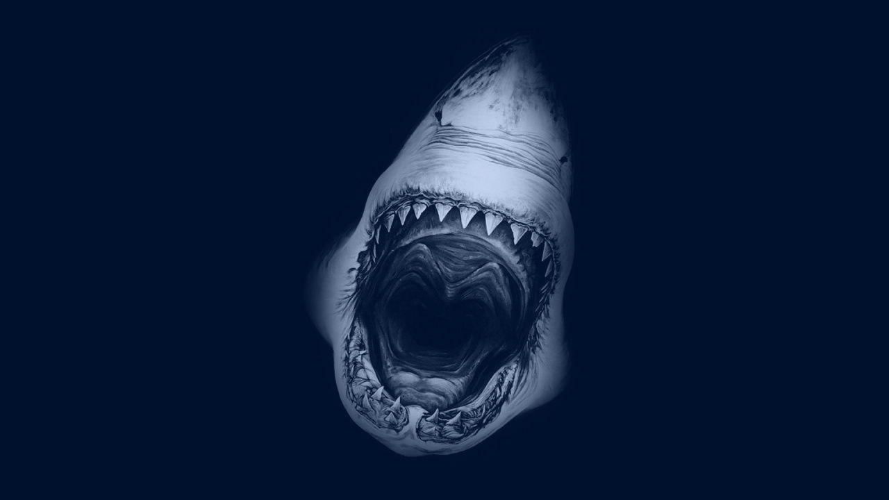 Great White Shark desktop PC and Mac wallpaper