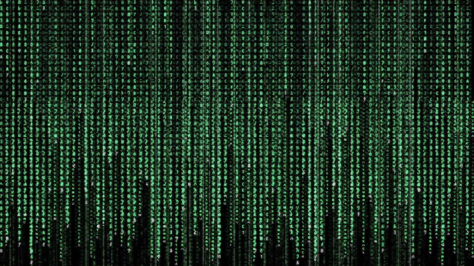 Movie the matrix Wallpaper 1920x1080. Hot HD Wallpaper