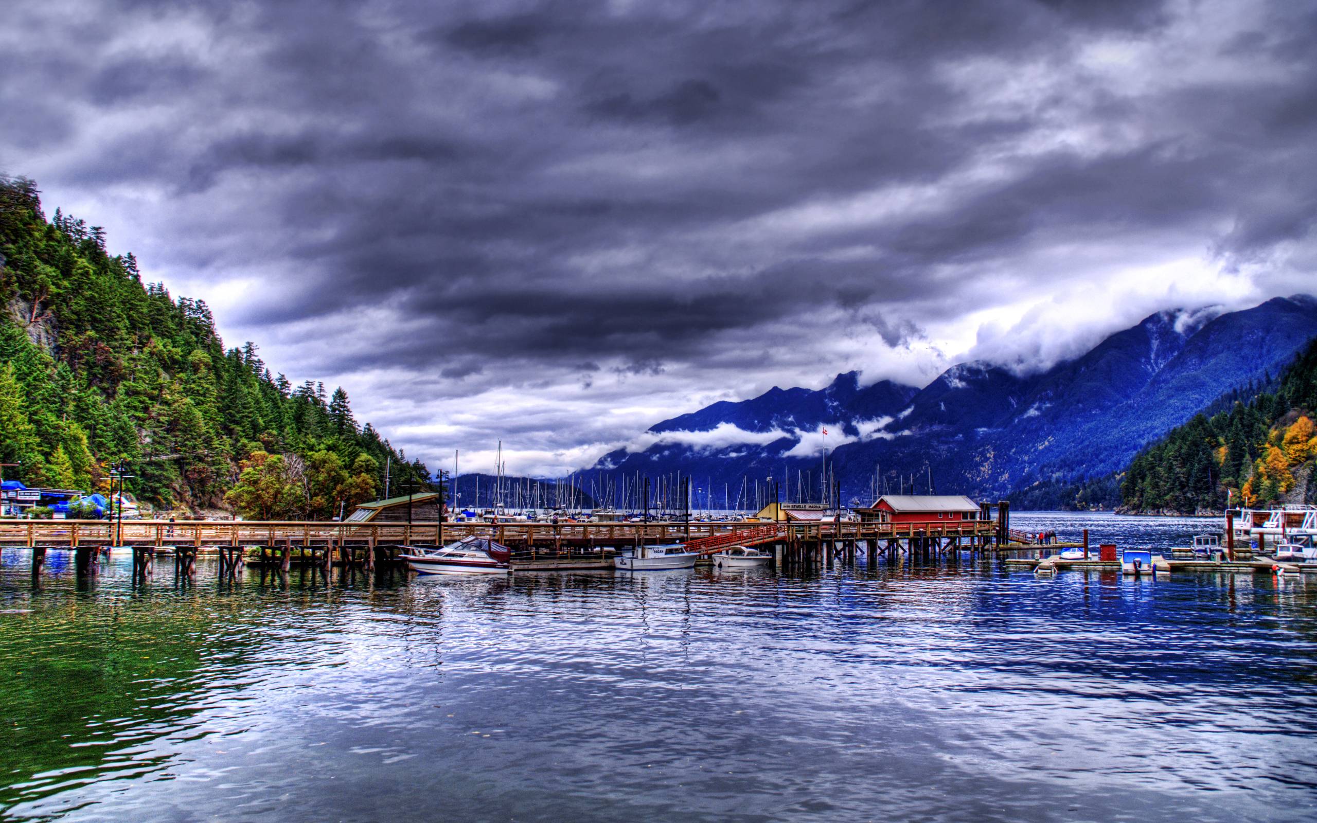 The Fog of British Colombia widescreen wallpaper. Wide