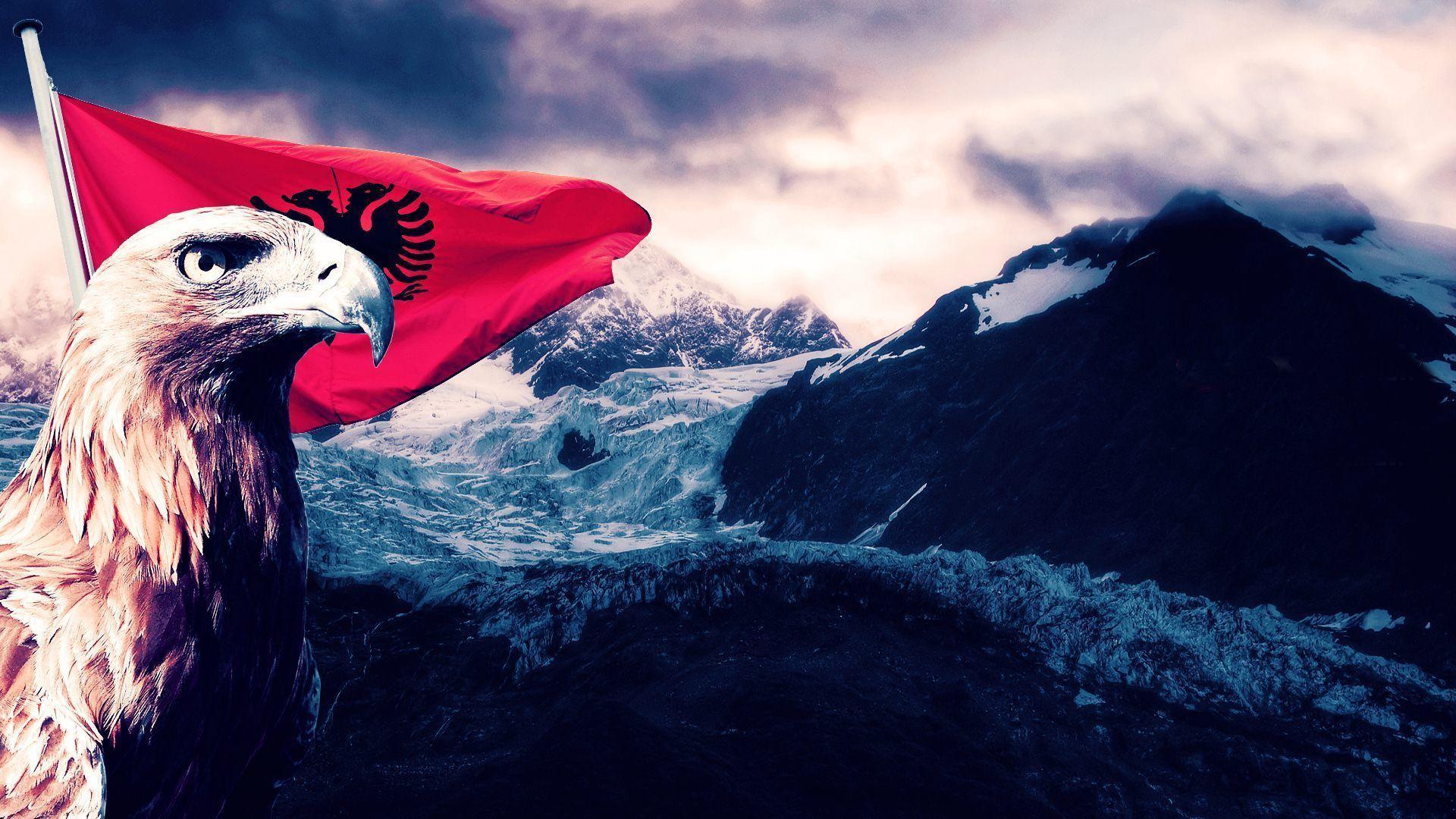 Albania Flag Eagle Art Wallpaper