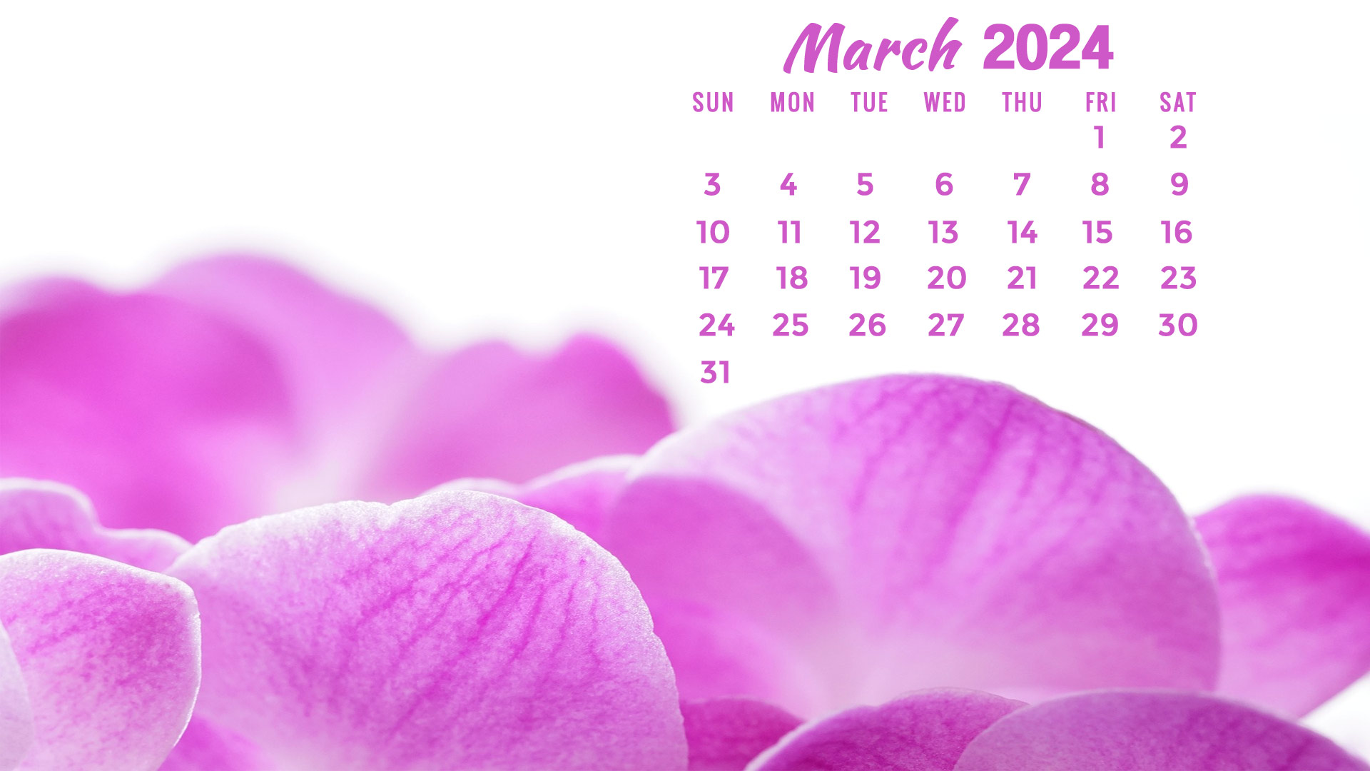 T.co S3eUkmmKbL March 2024 Calendar