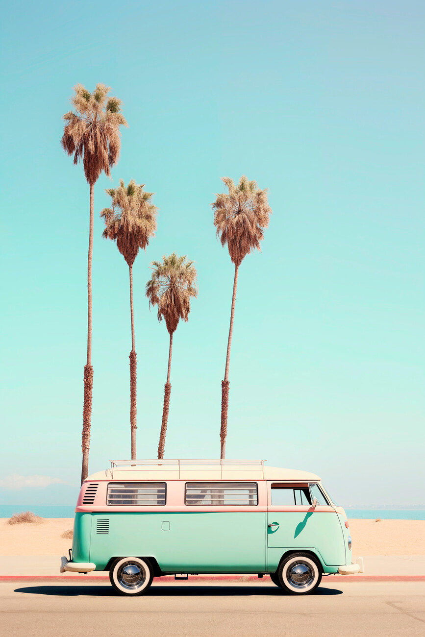 California Dreaming Van Venice