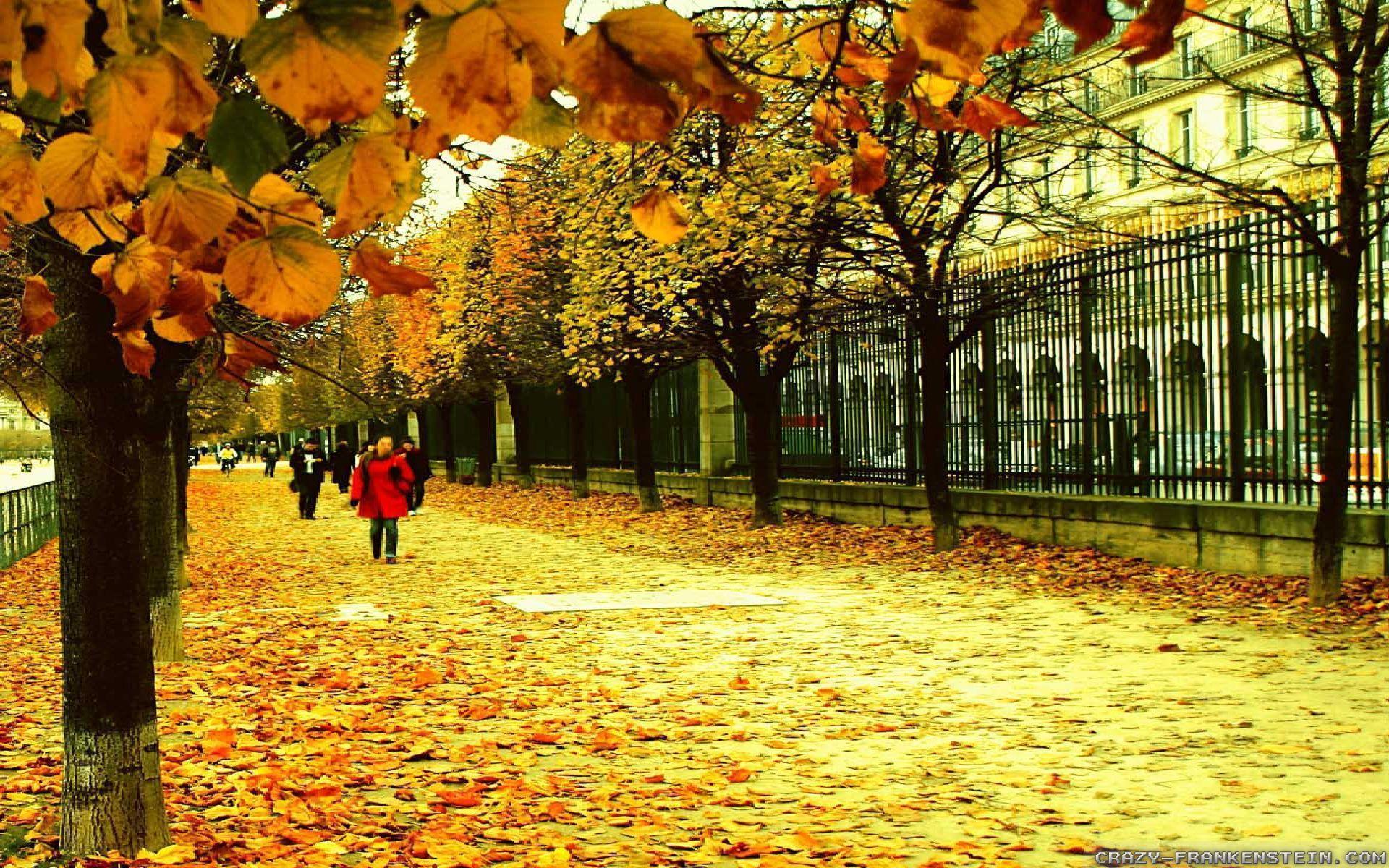 Autumn In France wallpaper