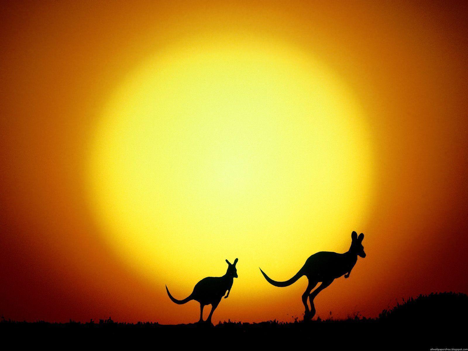 Amazing 43 Wallpaper of Australia, Top Australia Collection