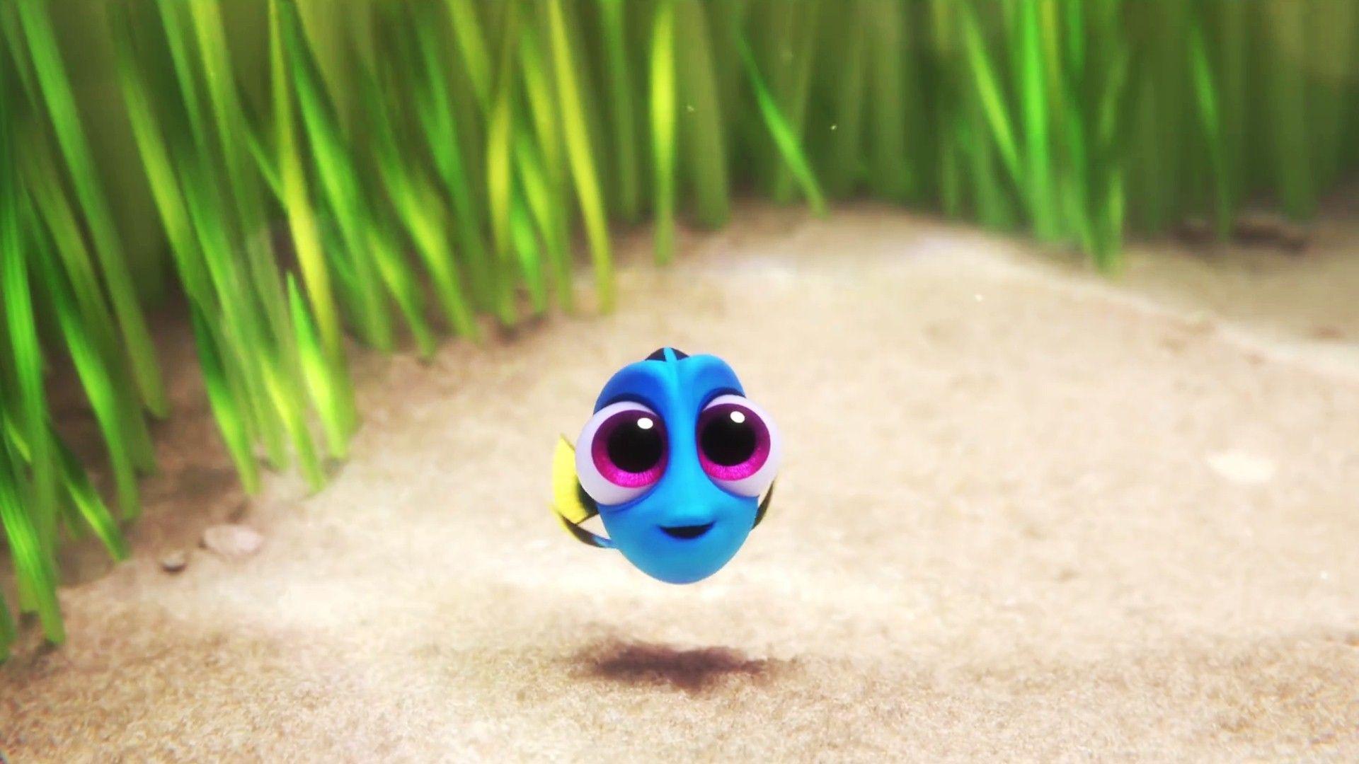 Finding Dory Wallpaper HD Background, Image, Pics, Photo Free