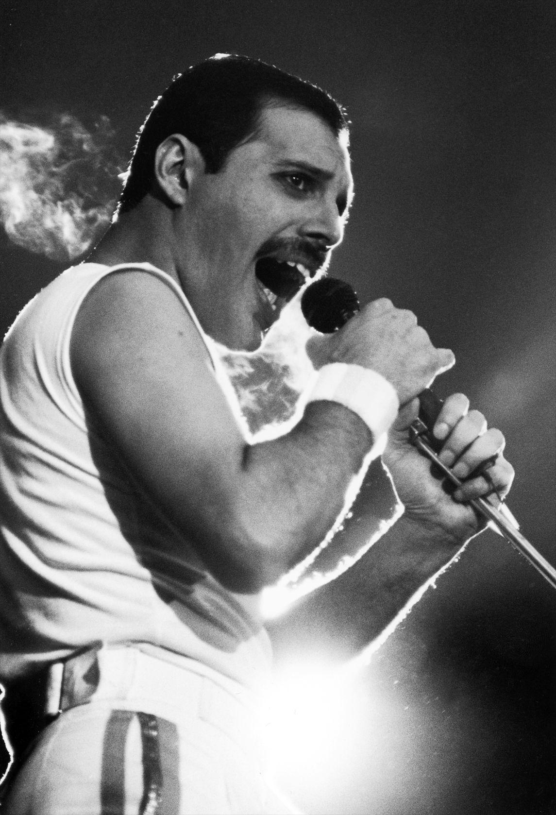 Freddie Mercury HD Desktop Wallpaper