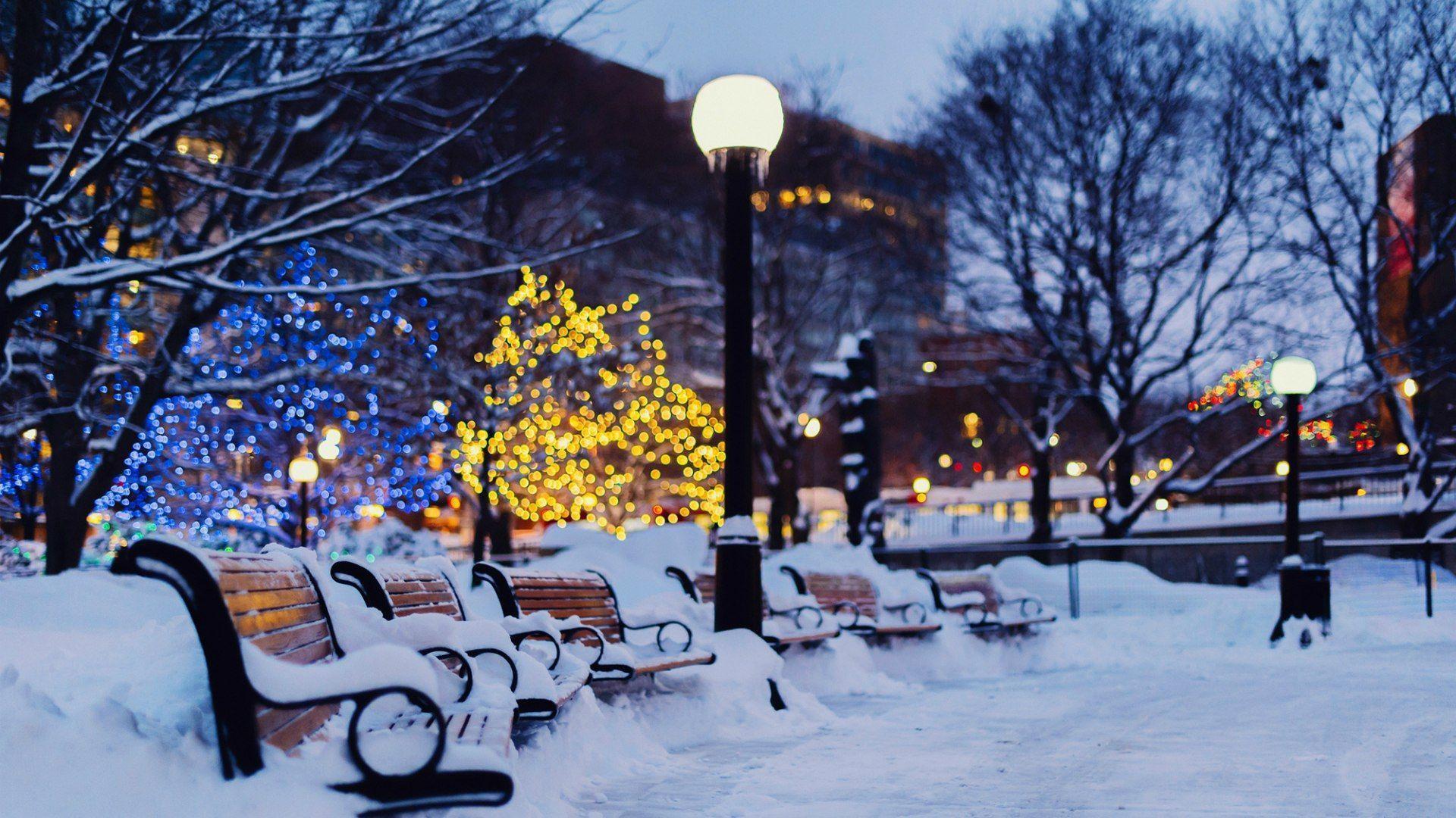 Winter park in Ottawa, Canada wallpaper and image