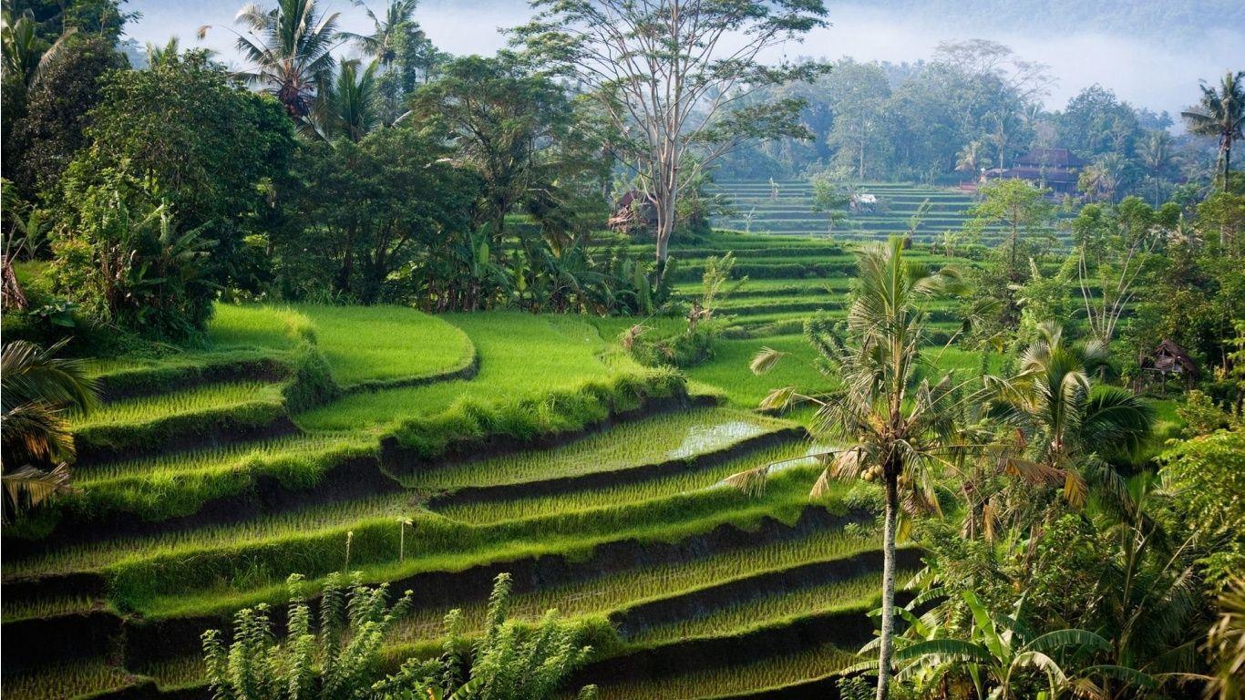 Indonesia Nature Wallpaper