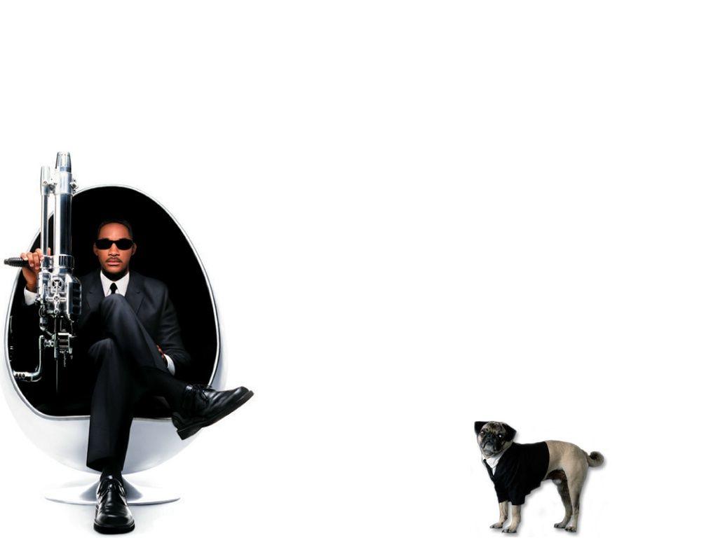 Download Wallpaper white dog actor will smith men in black 2 ii
