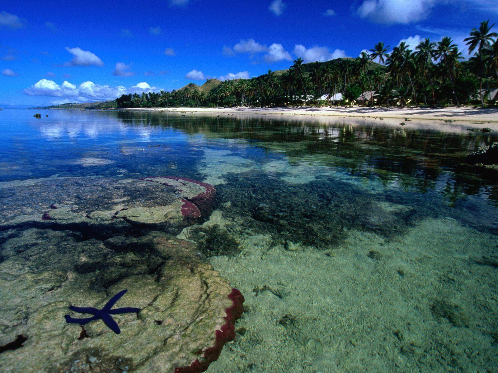 Fiji Island. Wallpaper HD 3D