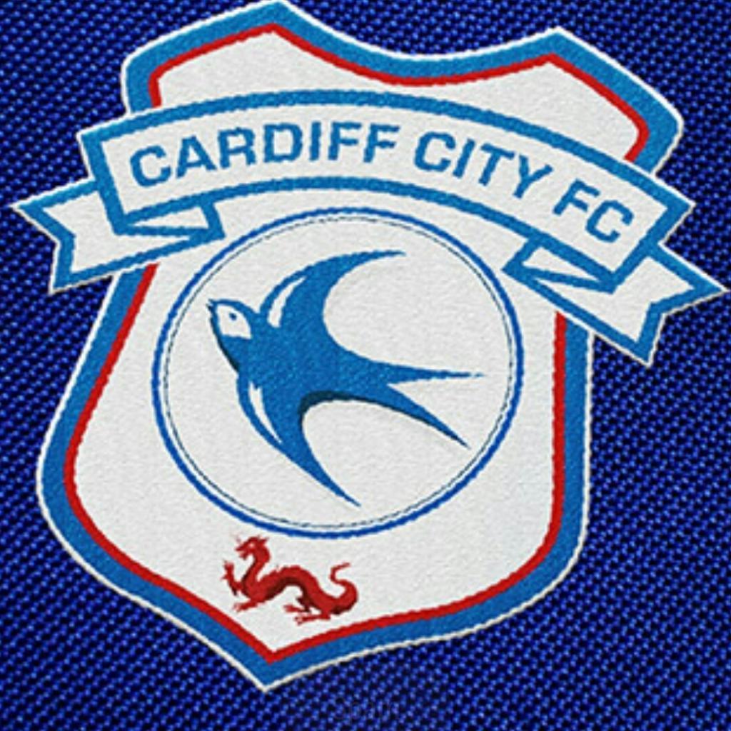 Cardiff City F C Wallpaper HD Background